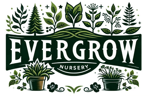 Evergrow Nursery Logo